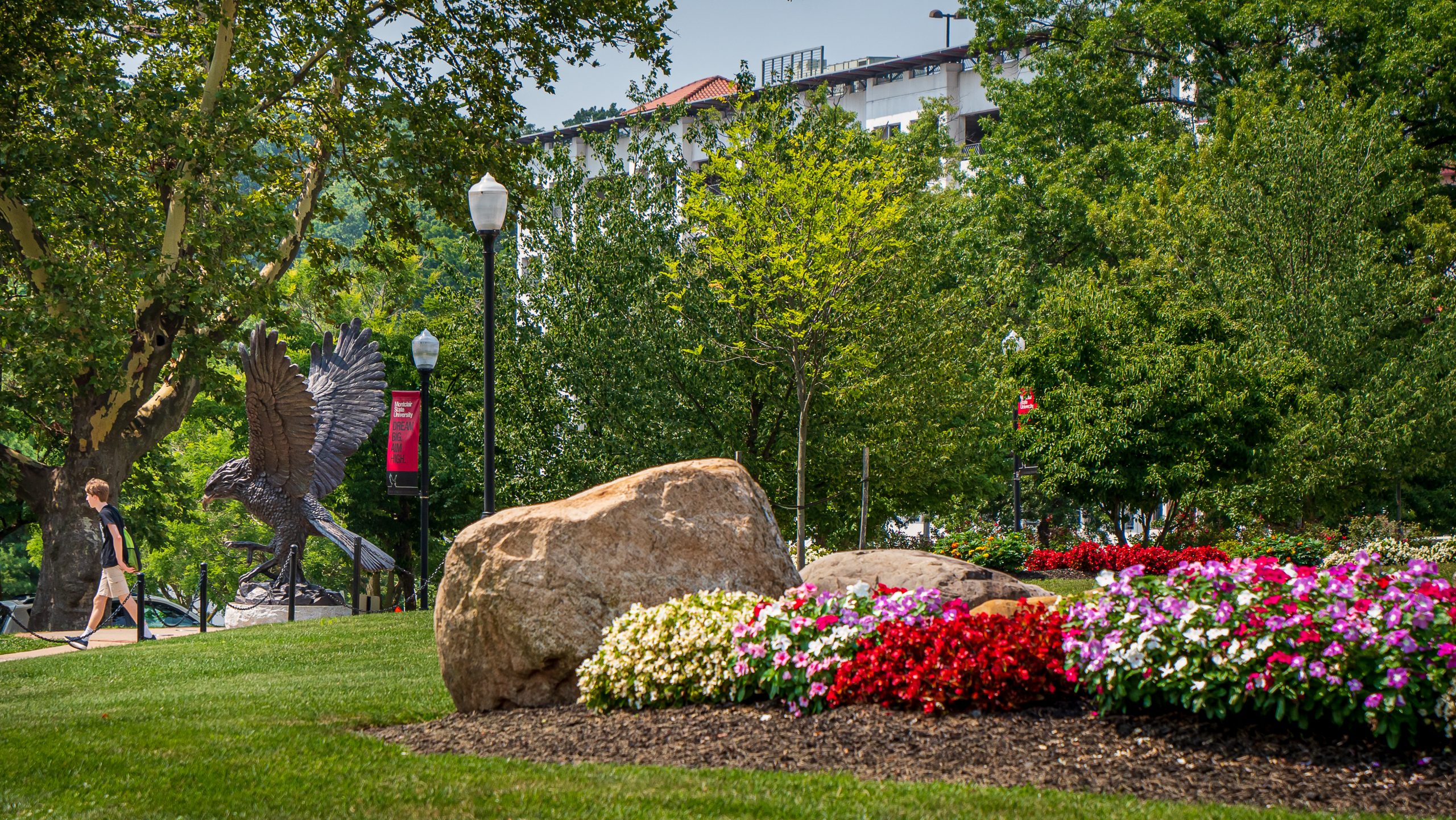 Early Warning Program Navigate Montclair State University