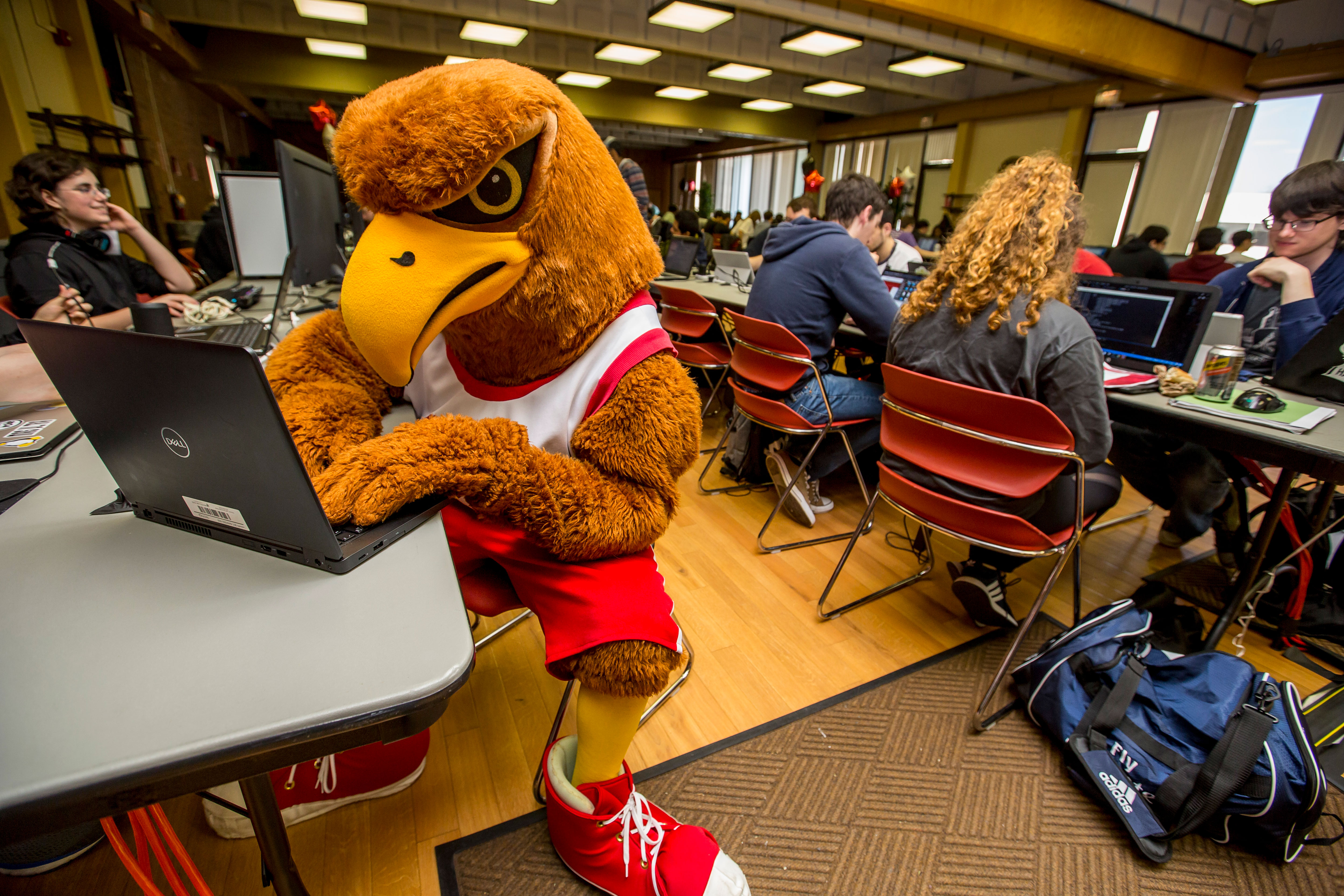 Rocky at the hackathon