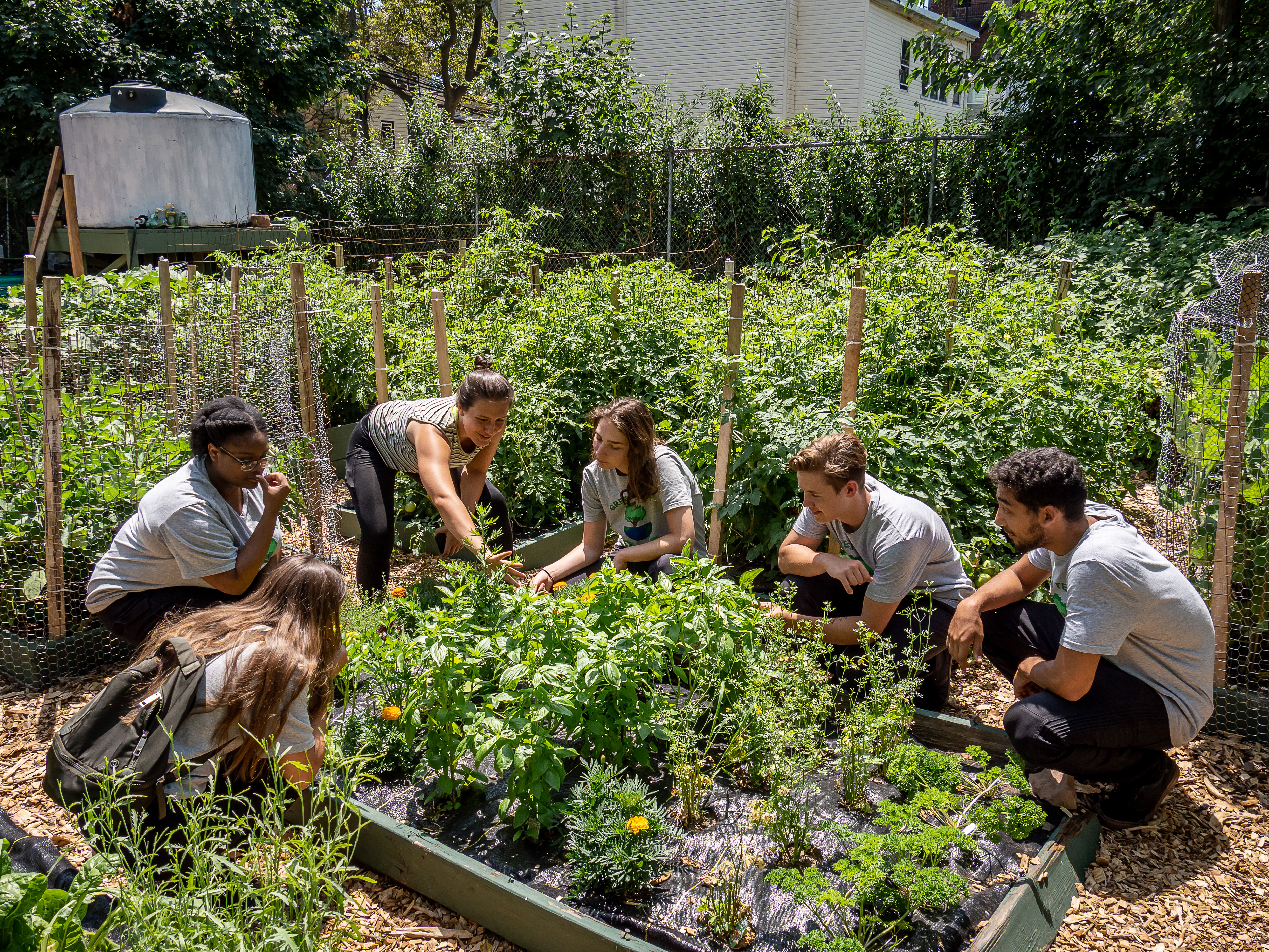 Green Team members tend to a community garden in Newark. Partnering with the Newark Science and Sustainability Inc., the interns focused on connecting food initiatives across northern New Jersey.