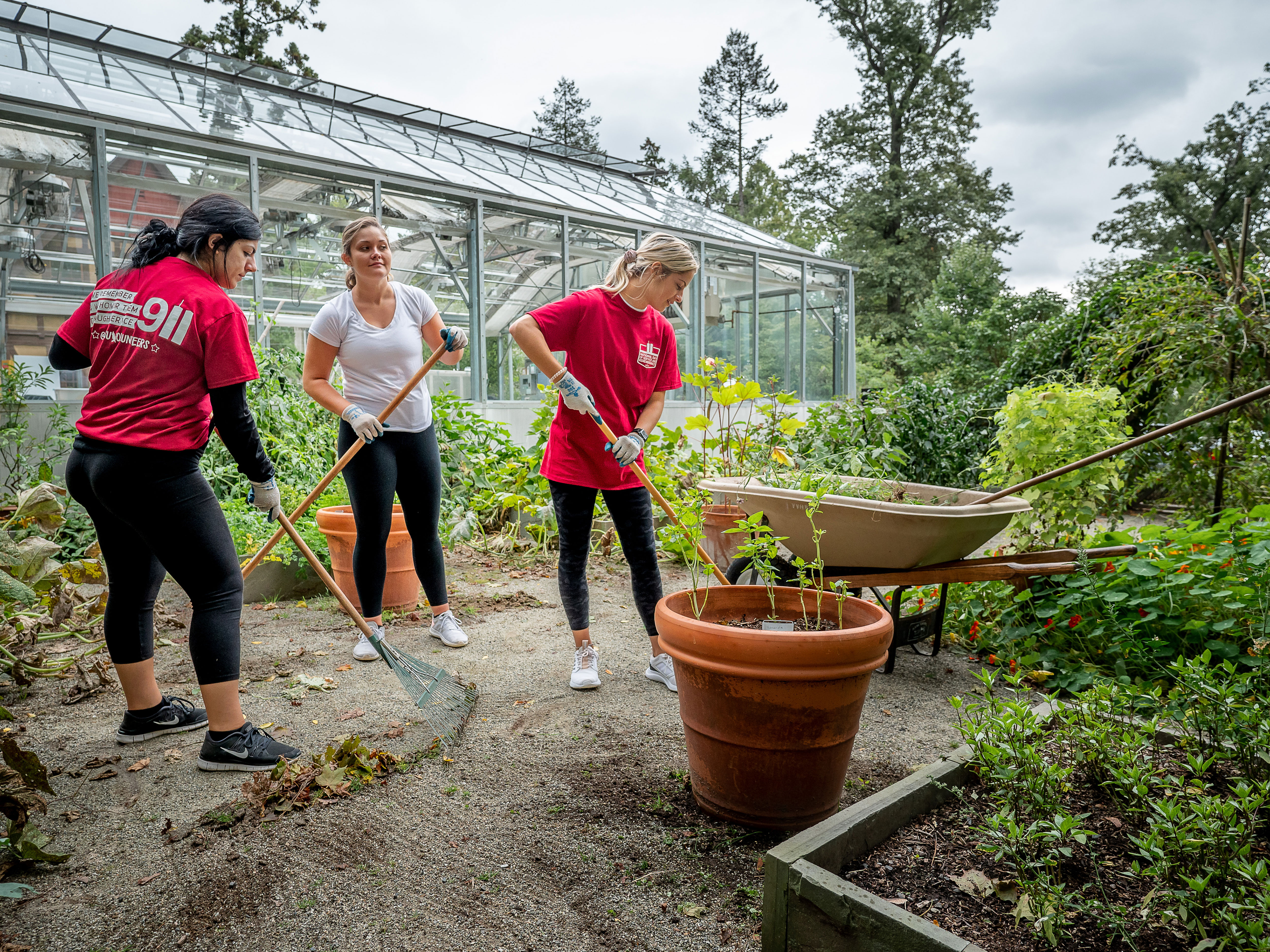 Students volunteering on National Day of Service