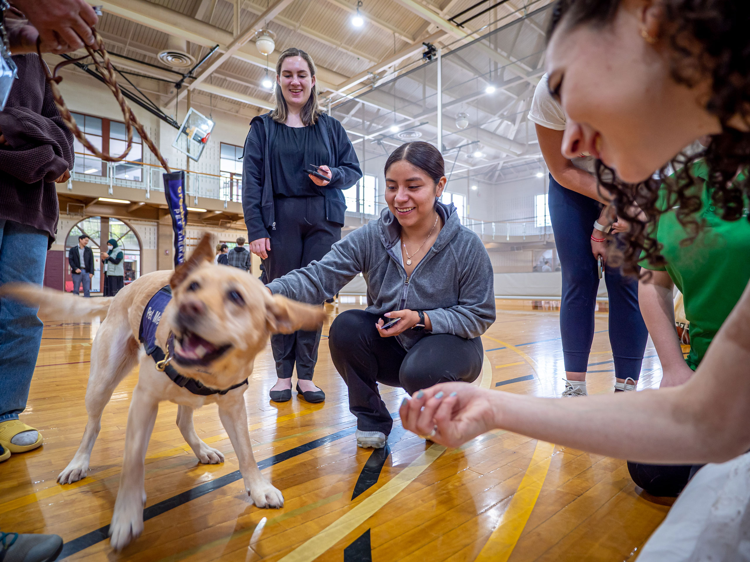 A dog wags its head and tail as smiling students each out to pet it.
