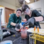 Wearing gloves and goggles, Sarah Bowers and Katie work on a Chemistry lab experiment.