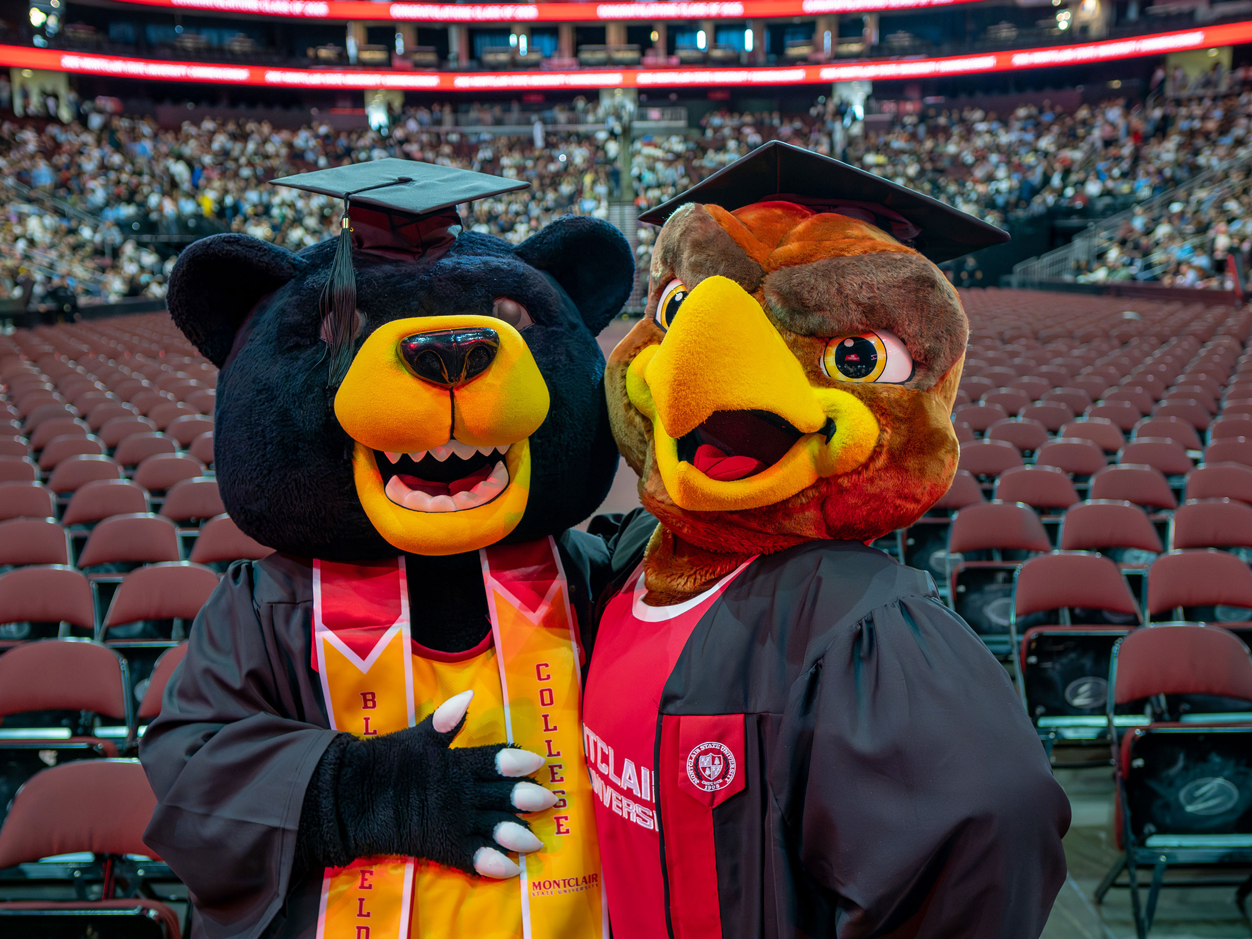 Deacon the Bear and Rocky the Red Hawk, Bloomfield and Montclair's mascots, don caps and gowns