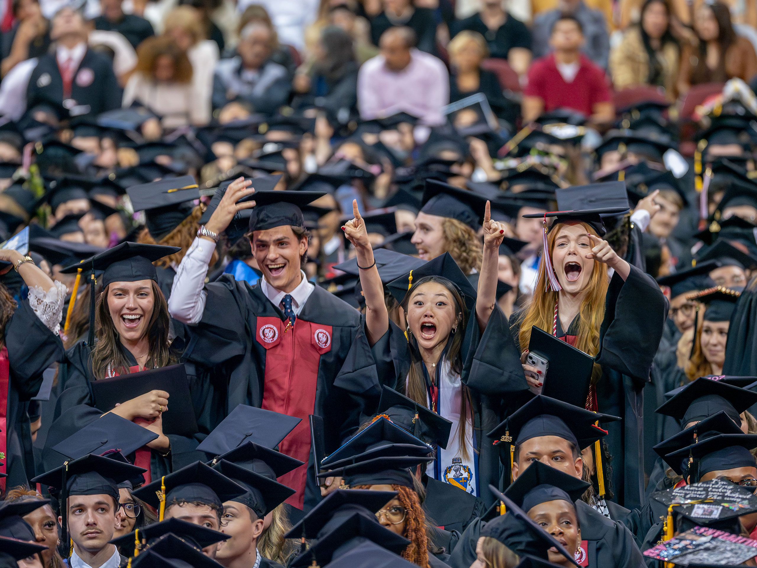 group of graduates standing among the crowd and cheering