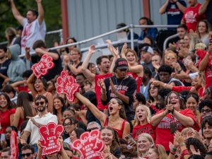 Fans cheering in stands