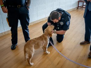 Patrolman Raymond (RJ) Miller of the Montclair State University Police Department kneels on a wood floor, as he scratches the ears of Summer, a golden retriever therapy dog. Summer stands calmly in front of him on a leash.