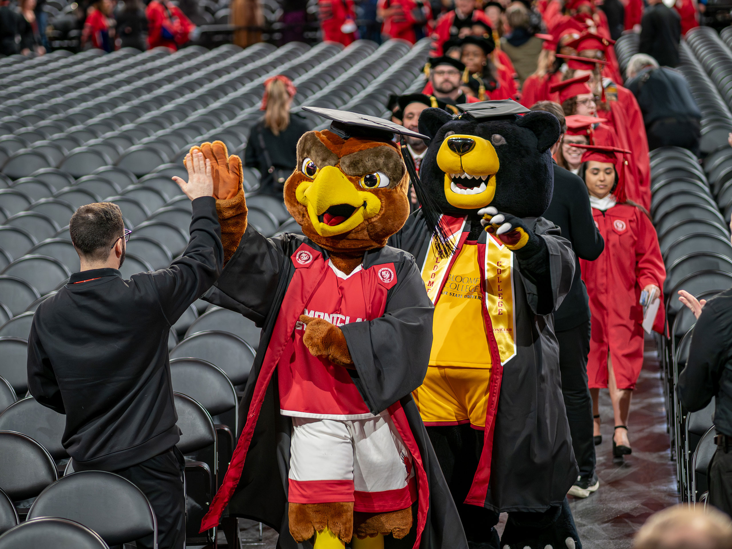 Rocky the Red Hawk and Deacon the Bear mascots, dressed in graduation caps and gowns, walk down an aisle of empty seats, high-fiving and pointing as graduates in red gowns follow behind them.