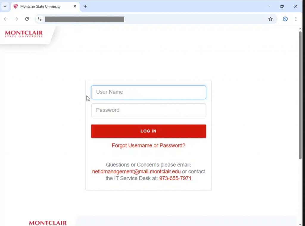 Fake MSU (SSO) login page that is created to steal login credentials. 