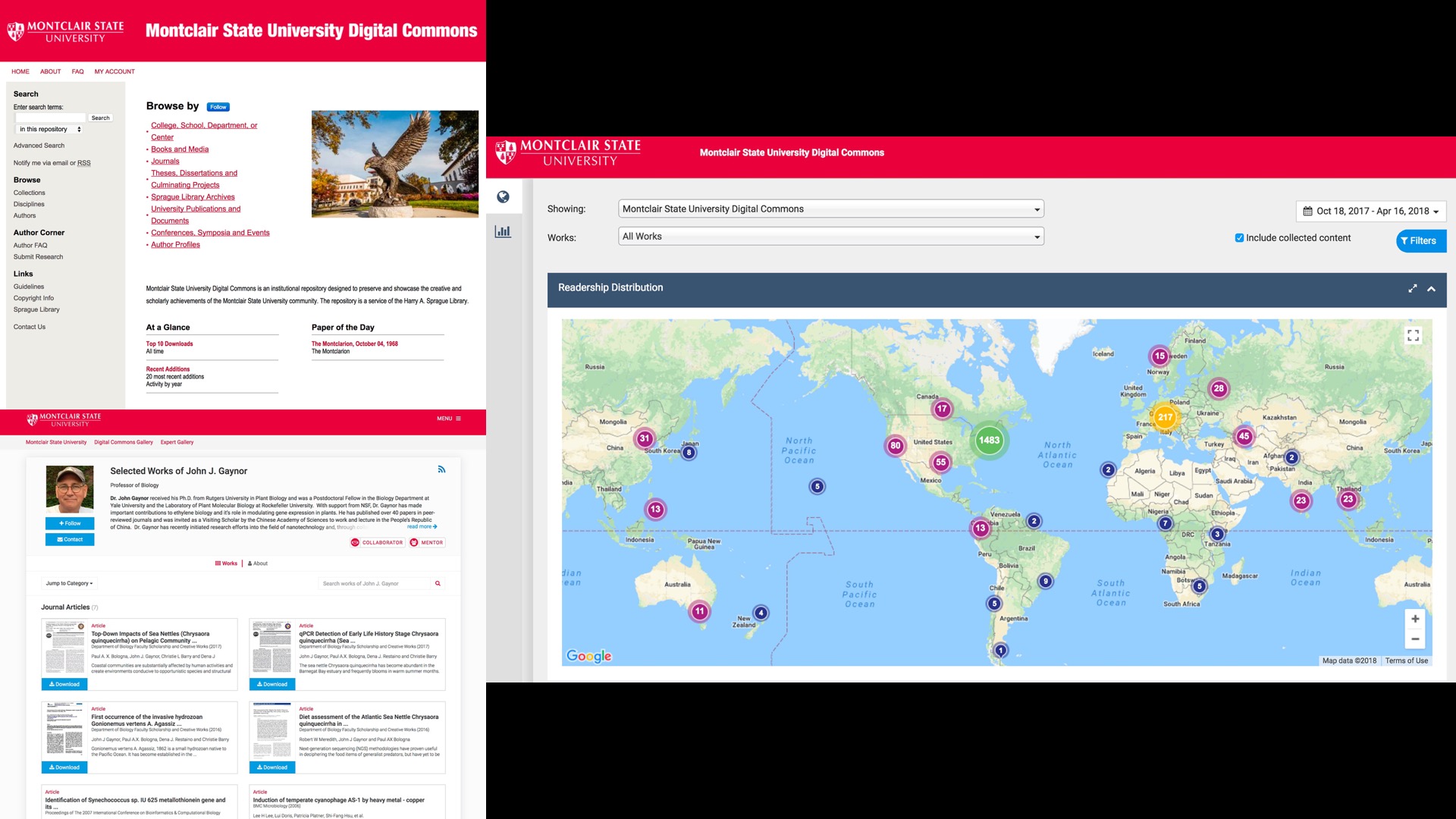Screenshots of the Digital Commons website, including one of the homepage displaying in real time people all over the world downloading work.