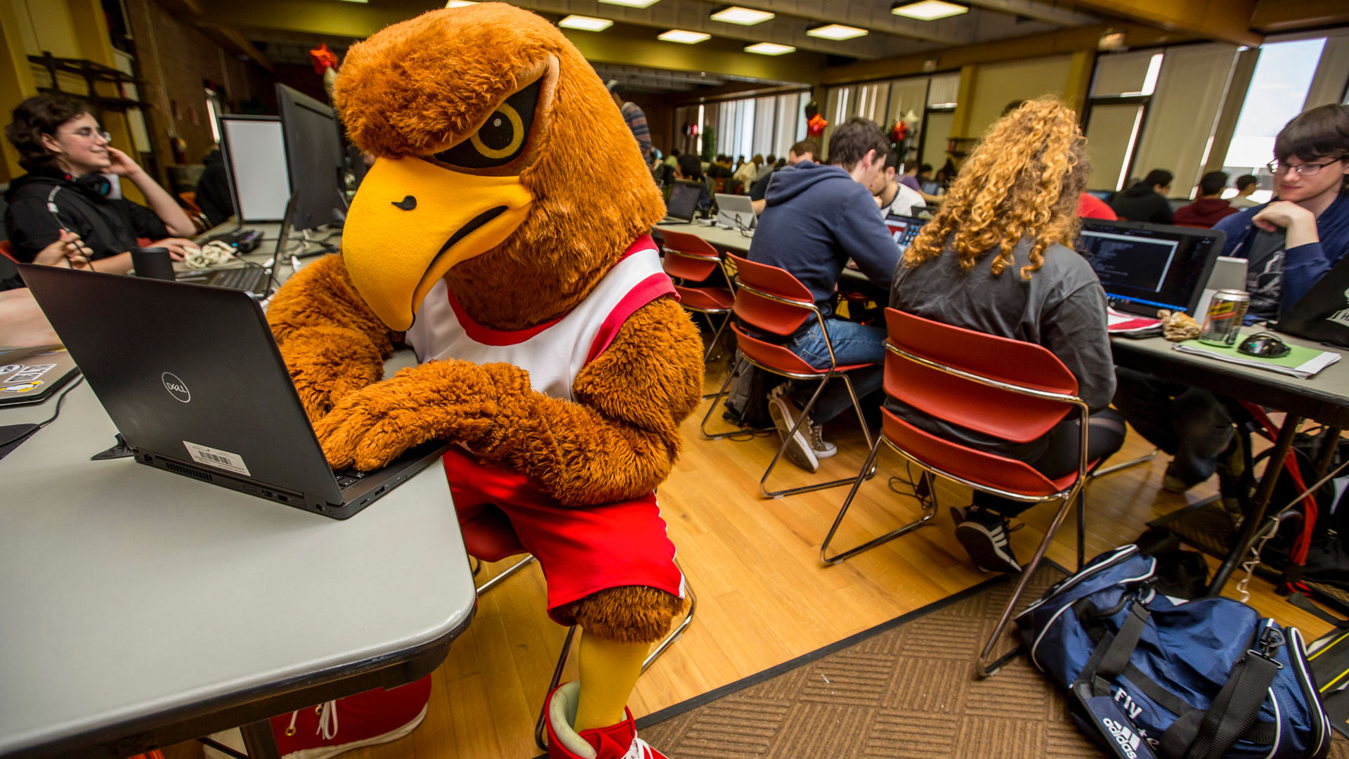 Rocky coding with laptop