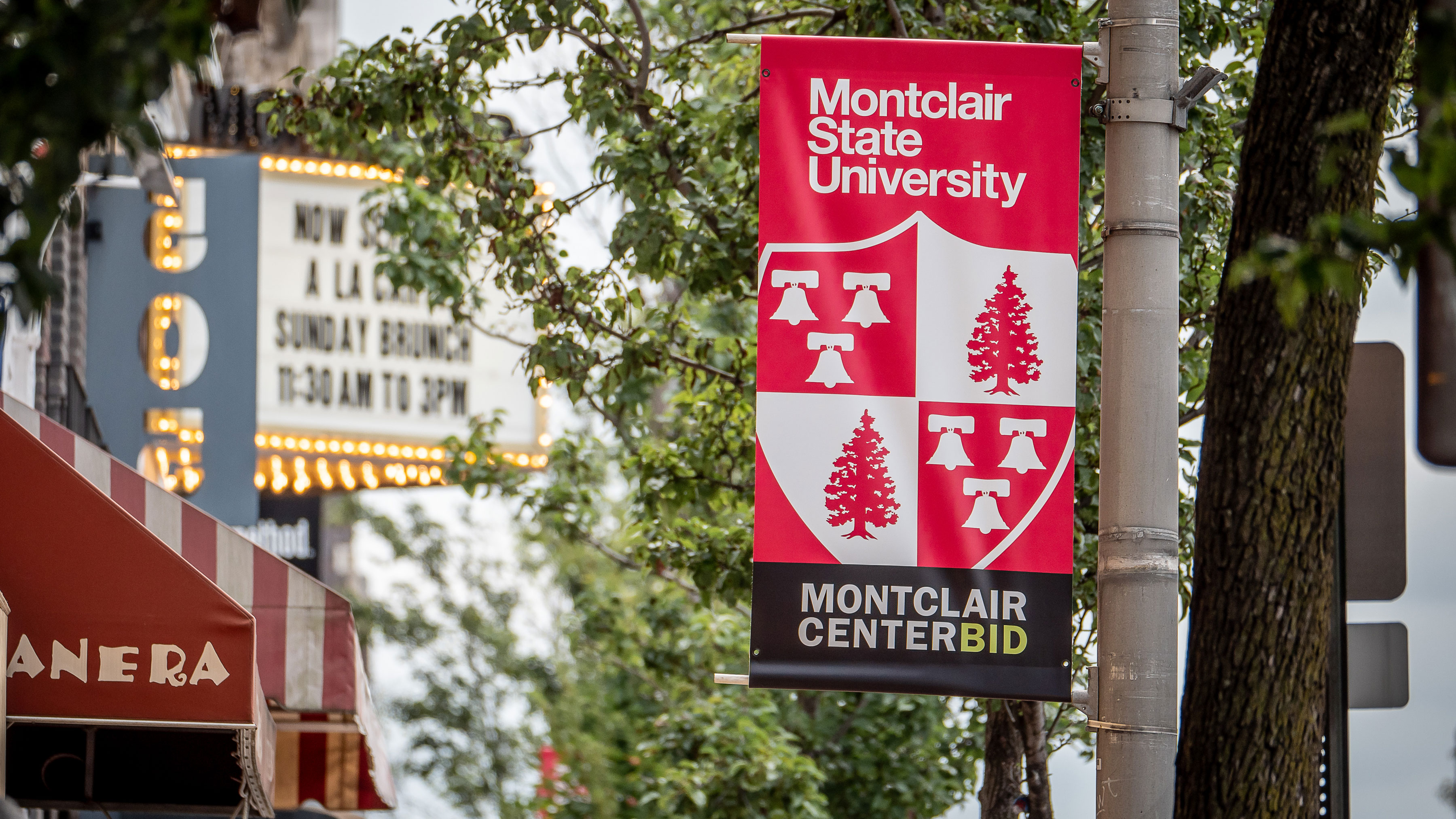 University Banners on Bloomfield Avenue