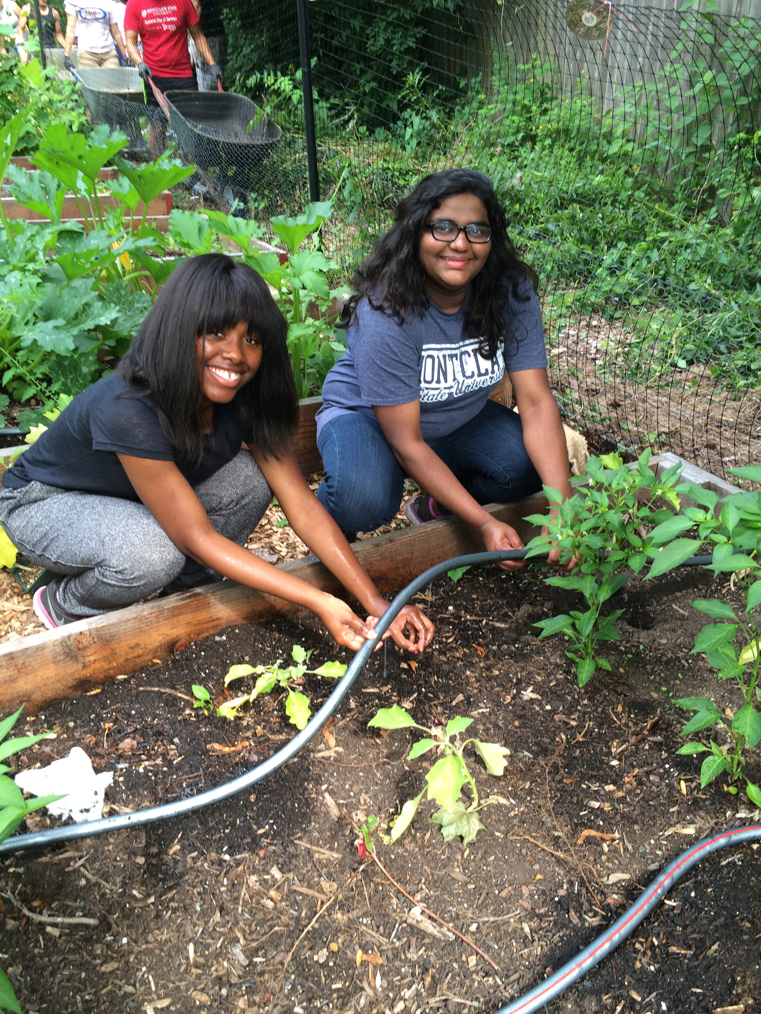 gardening in community garden
