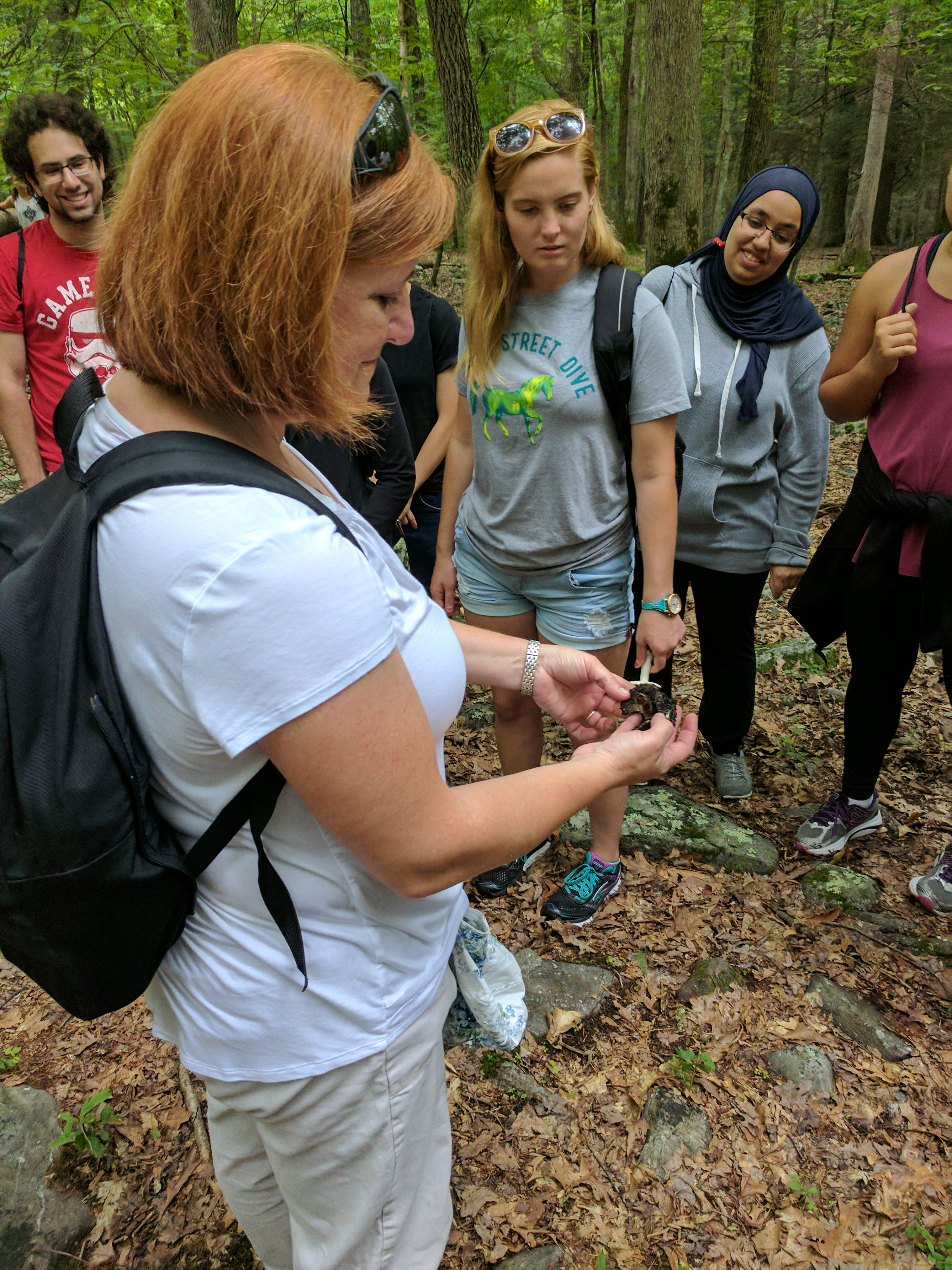 Green Teams hiking trip