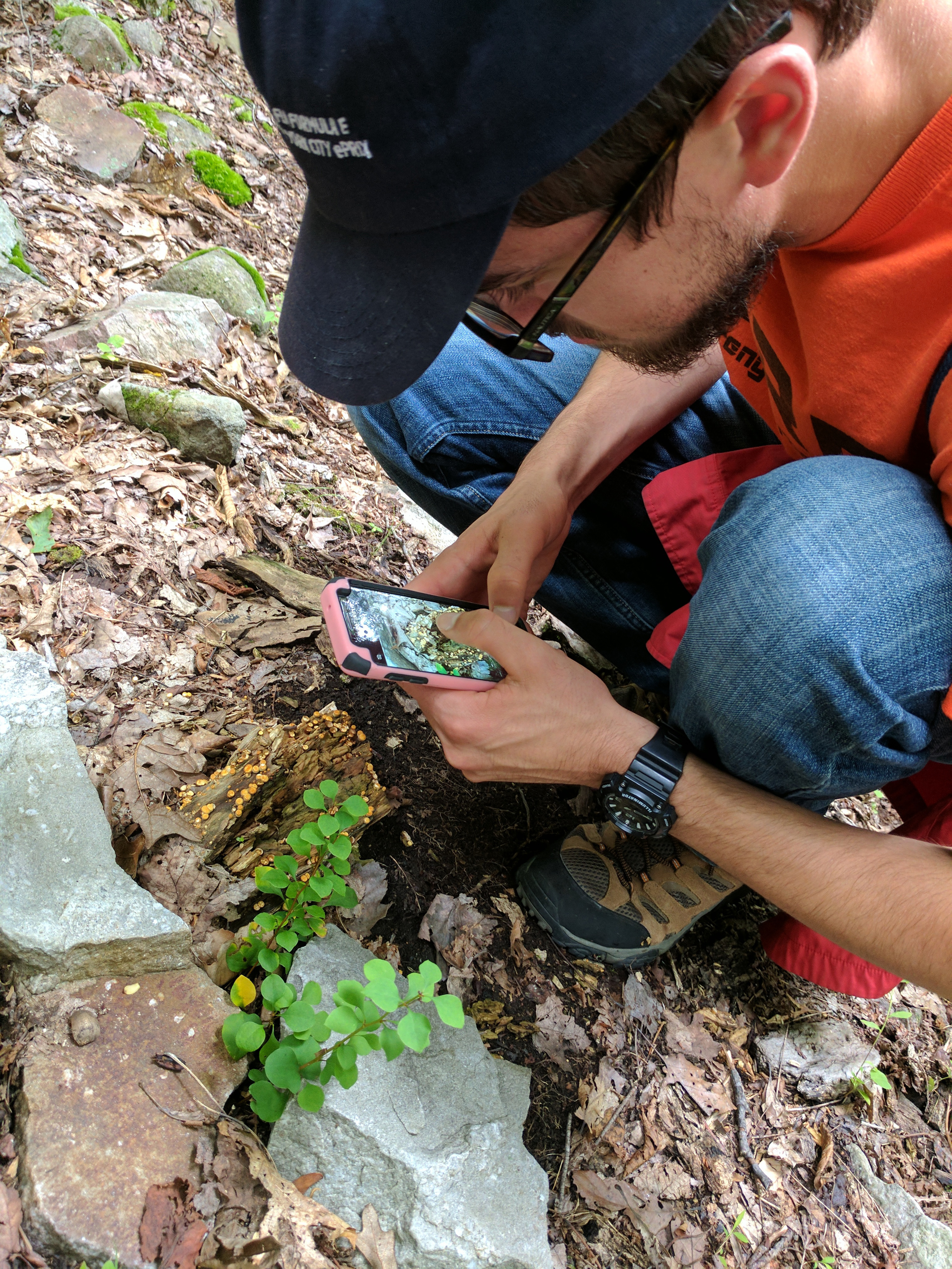 student photographing plant