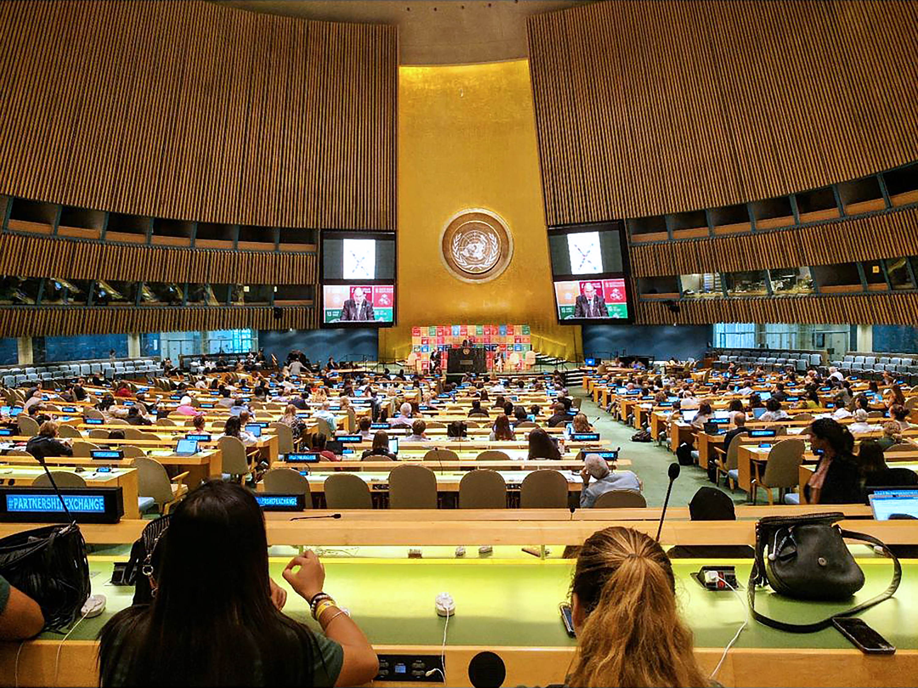 Green Team visit to the UN