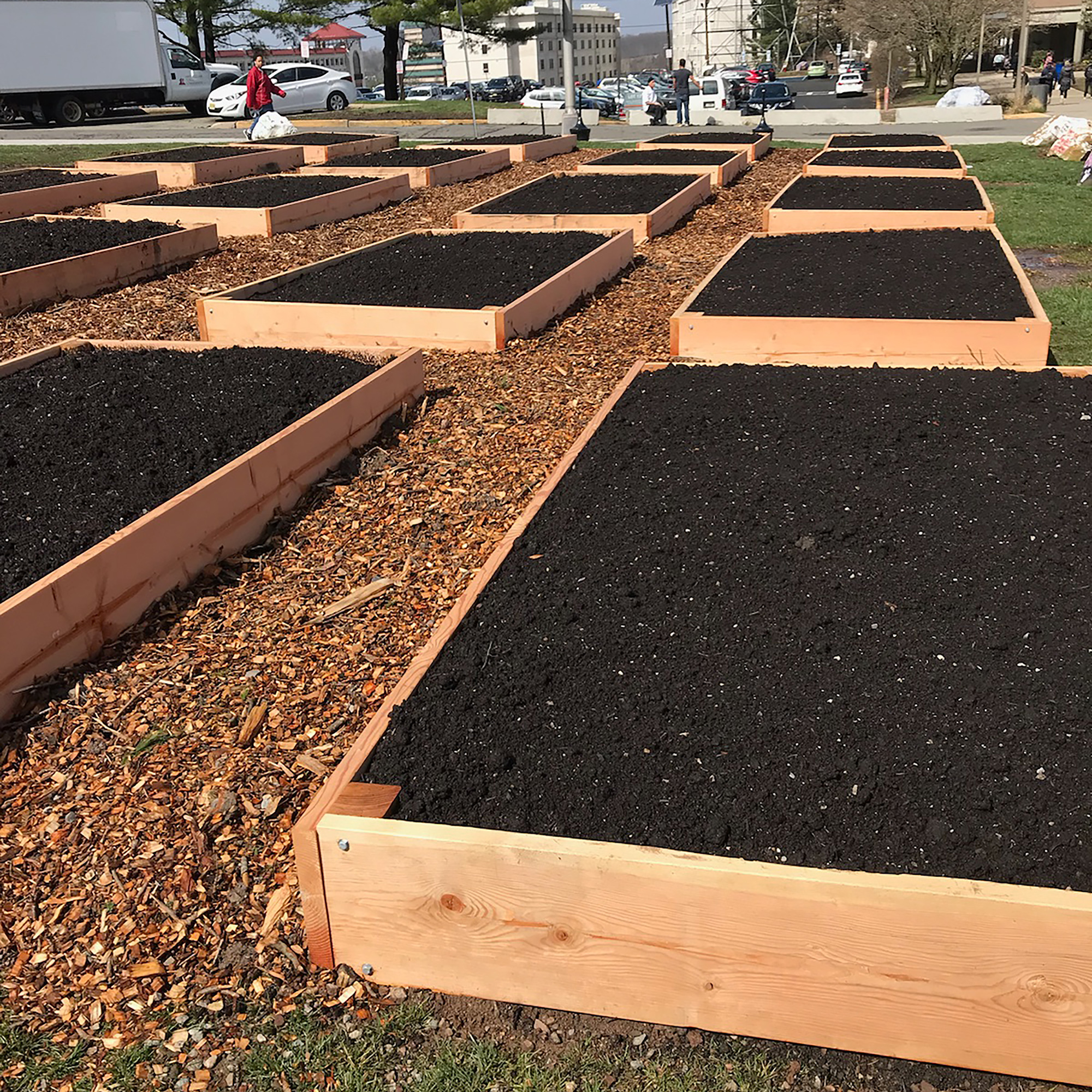 community garden beds