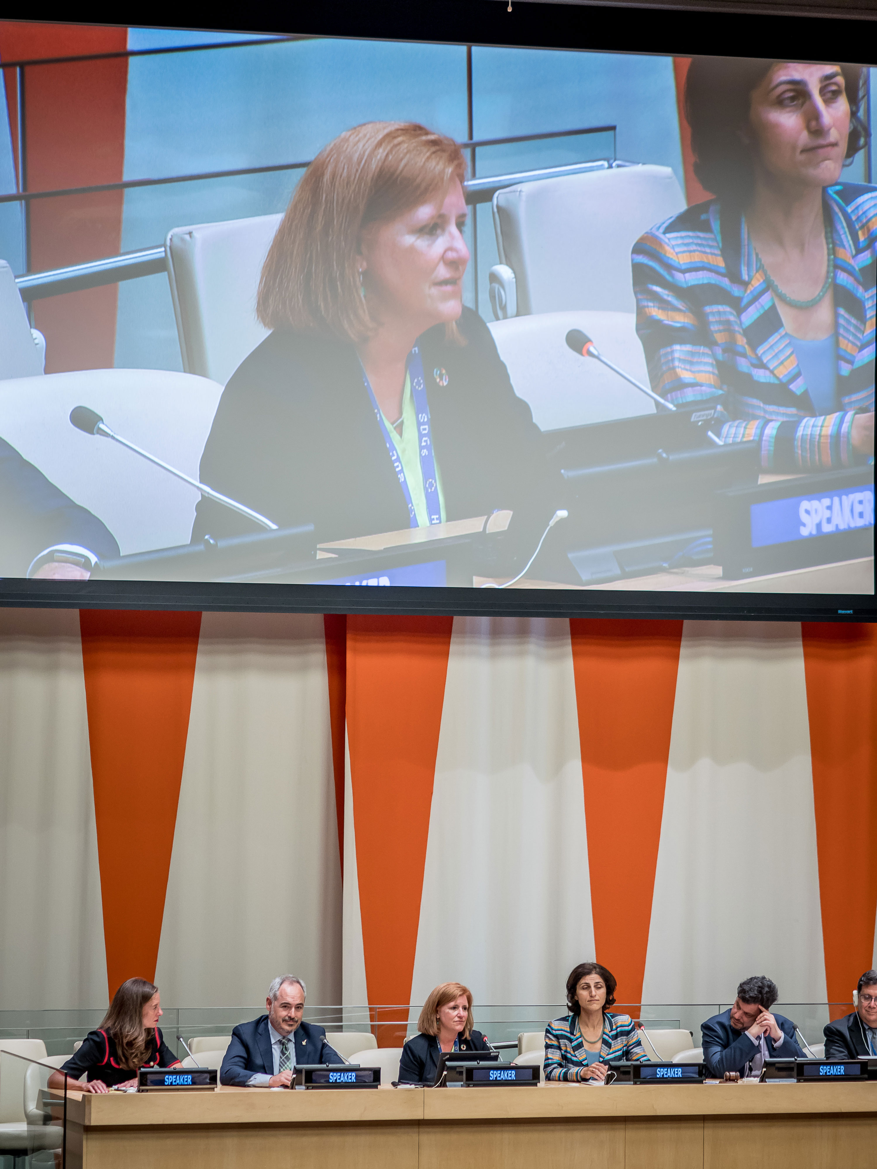 ISS Director on HESI Panel at United Nations