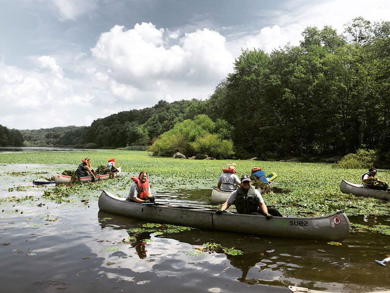 Green Team members volunteering at Suez