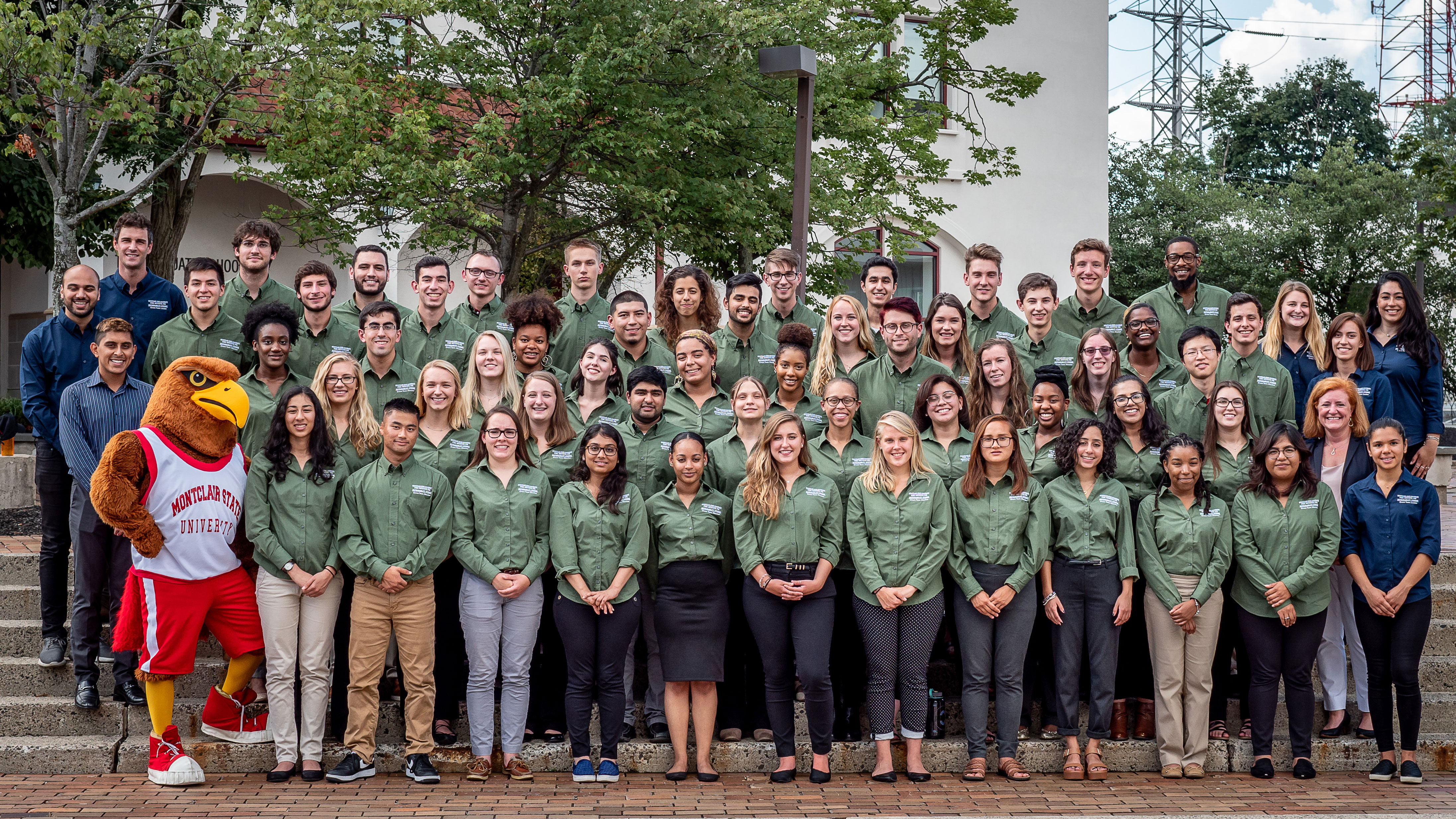 Green Teams with Rocky