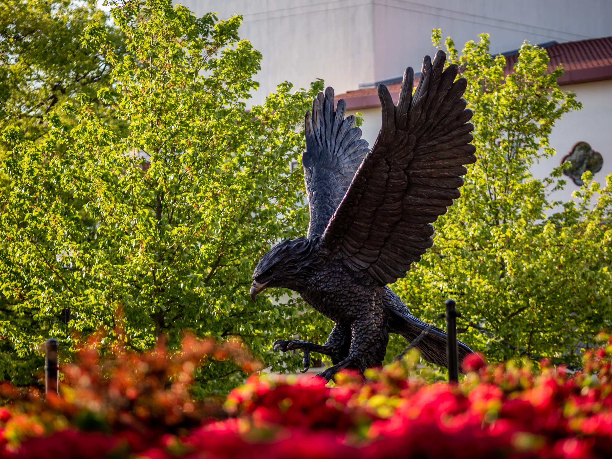 Pride And Traditions Red Hawk Life Montclair State University