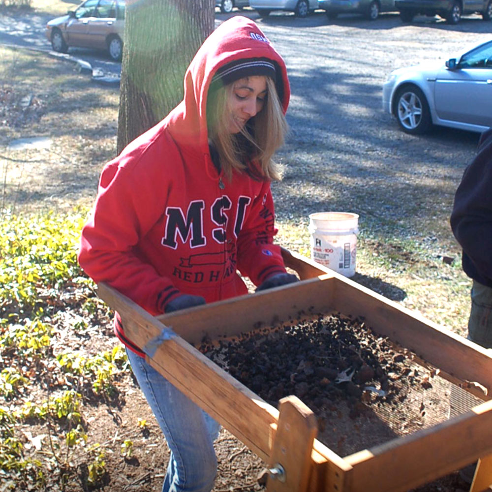 Student sifting dirt out of archaeological find