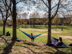 Photo of student in hammock on main quad