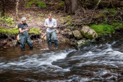 Two students wade into the water at the edge of a stream to take measurements.