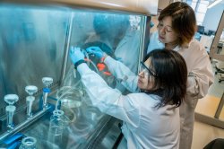 Professor guides a student who reaches under a glass hood to work with materials that require isolation and ventilation