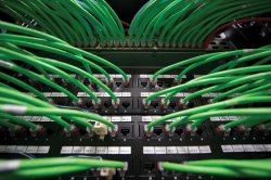 An array of green networking cables coming out of a network router