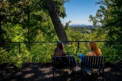 Two students talking while sitting on benches, surrounded by trees with the New York City skyline in the background