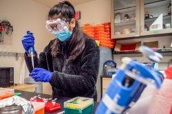 Student in a laboratory with protective eyeware and surgical mask using a pipette to transfer a sample to a test tube