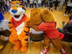 Rocky and costumed characters playing musical chairs
