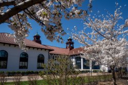 Exterior photo of Cole Hall in the Spring