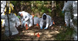 photo of forensic anthropologists doing field work
