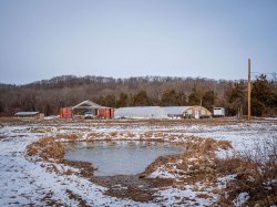 Montclair’s new minor in Native American and Indigenous Studies is focusing on issues of indigenous sovereignty, cultural revitalization, environmental justice and language reclamation. Some of the field work is happening at the Munsee Three Sisters Medicinal Farm in Newtown, New Jersey.
