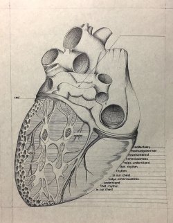 heart drawing poetry