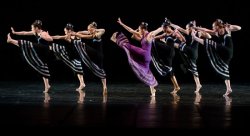 Feature image for Curtains Up!