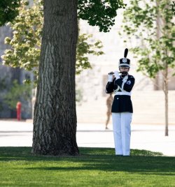 Cali Spotlight: Ashley Mendeke