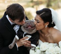 Adriana Negron and Coldin Grundmeyer Wedding with French Bulldog