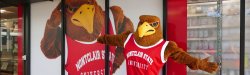 Rocky the Red Hawk in front of the bookstore