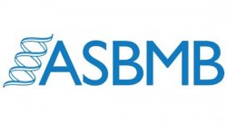 Feature image for The ASBMB Student Chapters welcome Quinn Vega as its new chairman