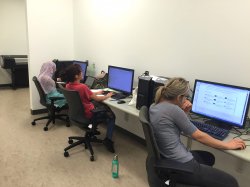 Norhan, Doriann, and Arianna entering data and working on the GIS database