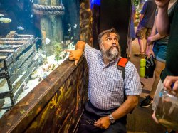 Paul Bologna describing fish in tank at aquarium