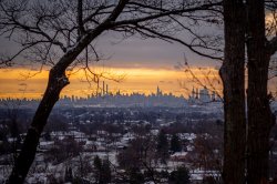 NYC skyline from campus at dusk