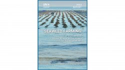 Seaweed Farming: Assessment on the Potential of Sustainable Upscaling for Climate, Communities and the Planet