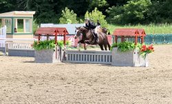 Woman riding on a horse and they a jumping over a small fence