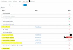 Canvas Feature Options tab
