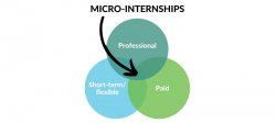 graphic that says micro internships