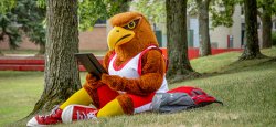 Image of Rocky the Red Hawk sitting outside in the campus Quad looking at a tablet.