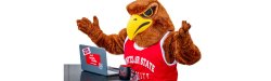 Rocky the Red Hawk working on his laptop